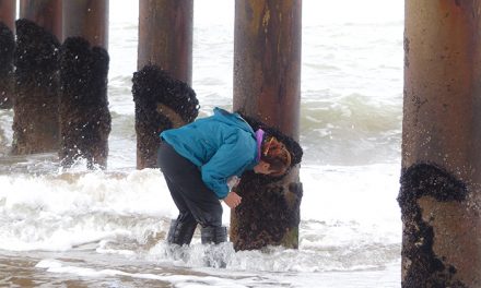 Mar del Plata: un “fósil viviente” delata la contaminación de las aguas del puerto 