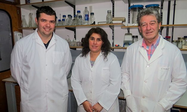 Reportan por primera vez en Argentina y la región la muerte de ganado vacuno por una planta venenosa