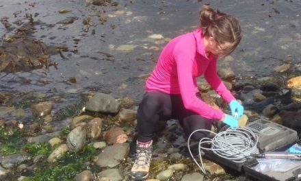 El pez sierra podría “serruchar el piso” a la merluza en el canal Beagle