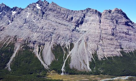 Los sismos moderados desploman grandes rocas a distancia (y los árboles lo registran)