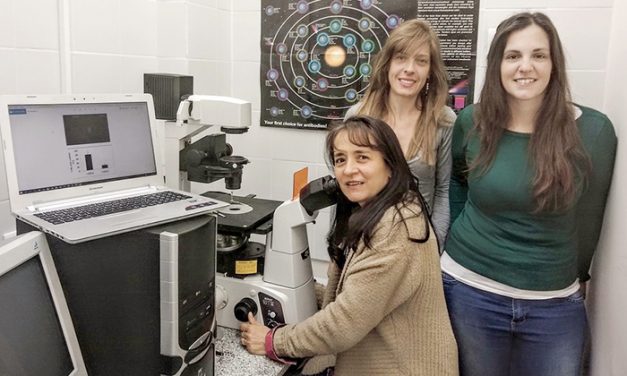 Hallazgo paradójico: ¿un “pariente” del tabaco podría ayudar a combatir el cáncer?