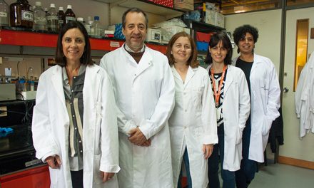 El ejercicio físico y otros estímulos podrían reducir el daño cerebral en la esclerosis múltiple