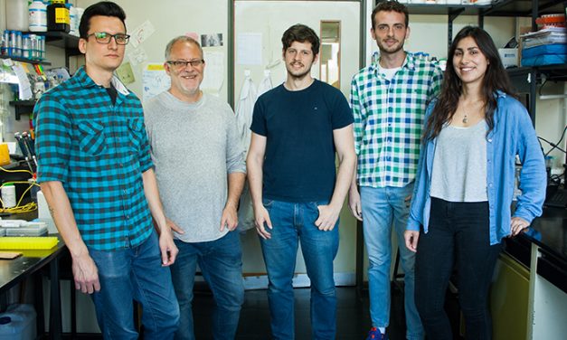 Identifican un gen clave para la resistencia de plantas frente a patógenos y suelos salinos