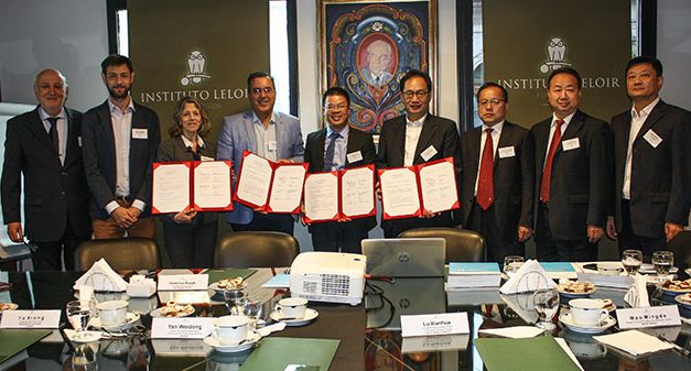 Logran describir cómo las plantas regulan el tamaño de sus raíces