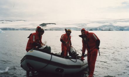 Confirman la integración de un virus en el genoma de una bacteria antártica y describen una de sus proteínas a alta resolución