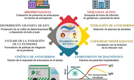 Estudio argentino revela información sobre la respuesta del sistema inmune al nuevo coronavirus SARS-CoV-2