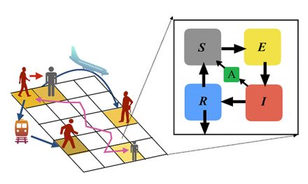 Desarrollan un modelo que predice la evolución de la pandemia de COVID-19 en diferentes escenarios