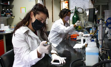 Investigadores apuntan al desarrollo del primer test de antígenos 100% argentino para COVID-19