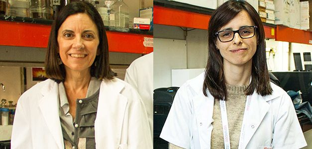 Esclerosis múltiple: ¿Se puede proteger el cerebro interviniendo fuera del sistema nervioso?