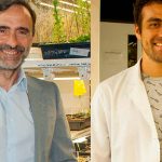 Las plantas “recuerdan” las temperaturas que experimentan durante el día, descubren científicos argentinos
