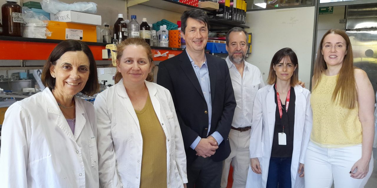 Avanza un estudio para analizar ciertas lesiones cerebrales de la esclerosis múltiple a nivel de proteínas y genes