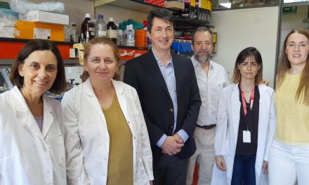 Avanza un estudio para analizar ciertas lesiones cerebrales de la esclerosis múltiple a nivel de proteínas y genes