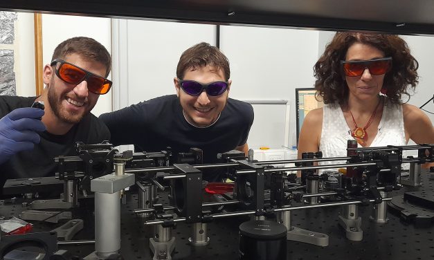 Construyen un microscopio único en Latinoamérica para estudiar la plasticidad neuronal de moscas vivas y entender mejor el reloj biológico