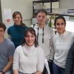 “Fábricas virales” pueden inspirar una nueva plataforma para la búsqueda de medicamentos contra la bronquiolitis y otras infecciones