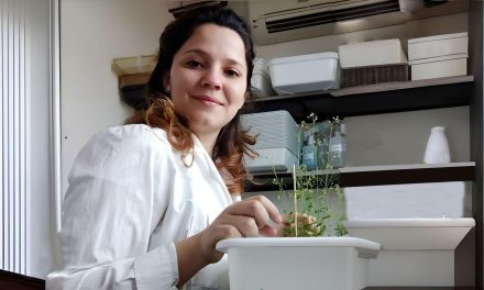 Determinan un mecanismo fundamental para que las raíces de las plantas absorban agua y nutrientes