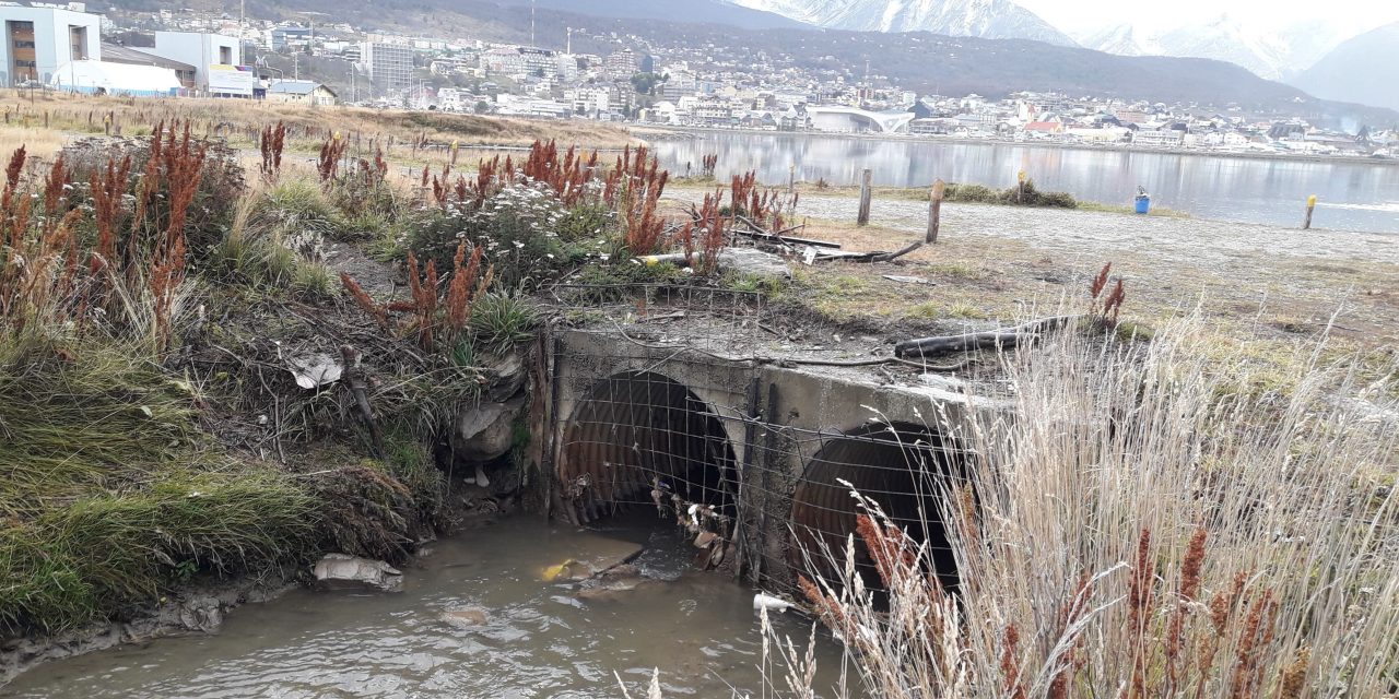 Buscan bioindicadores de contaminación del agua provenientes “del fin del mundo”