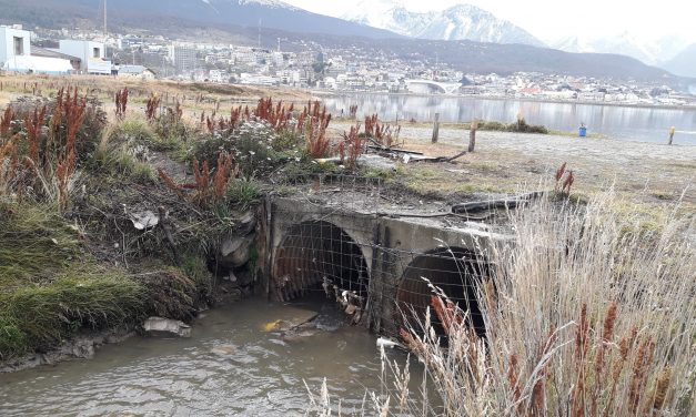 Buscan bioindicadores de contaminación del agua provenientes “del fin del mundo”