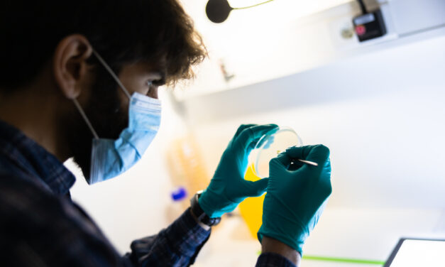 “Fue perturbador comprobar cómo dosis mínimas de agroquímicos alteran el comportamiento de los insectos”