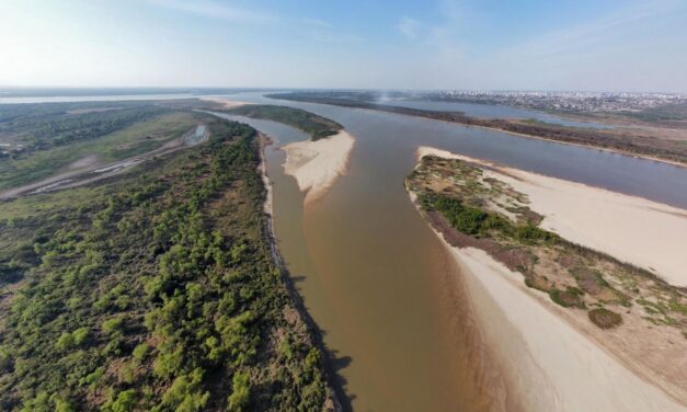 De los 15 problemas emergentes más importantes para la conservación global de la biodiversidad, 7 representan una amenaza concreta en Argentina