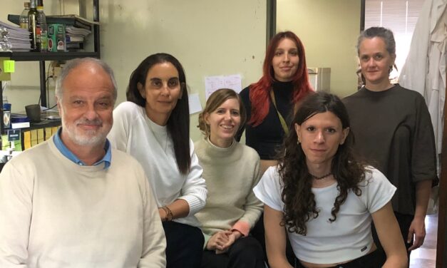 Descubren cómo el gen conocido como “guardián del genoma” se puede convertir en cómplice del cáncer