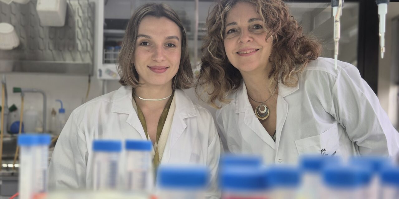 Diseñan una molécula que potencia la acción de varias quimioterapias y podría aprovecharse para mejorar los tratamientos antitumorales
