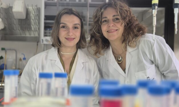 Diseñan una molécula que potencia la acción de varias quimioterapias y podría aprovecharse para mejorar los tratamientos antitumorales