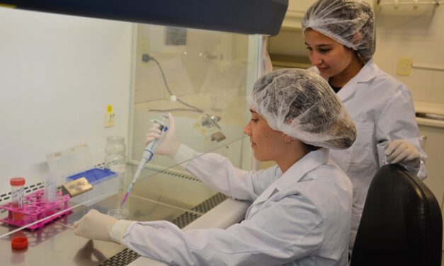 Avanza en el país una innovadora terapia para regenerar huesos a partir de células del cordón umbilical