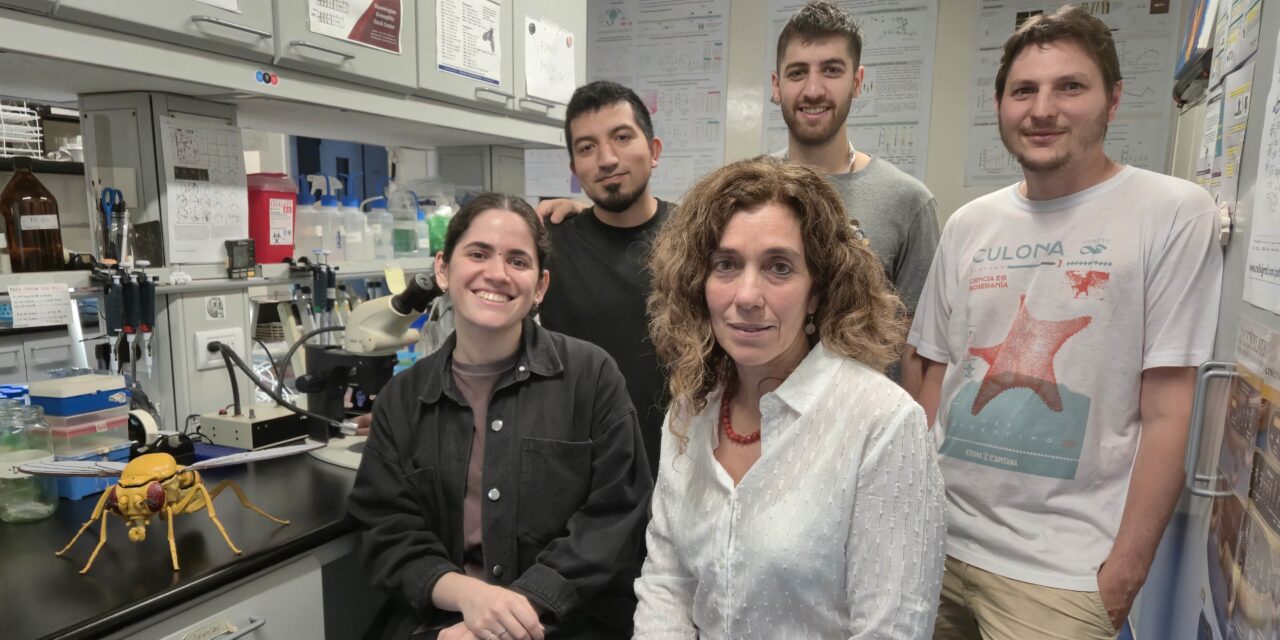 Viaje al interior de una neurona reloj: logran ver cambios sorprendentes a lo largo del día en las células que regulan ritmos biológicos