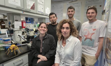 Viaje al interior de una neurona reloj: logran ver cambios sorprendentes a lo largo del día en las células que regulan ritmos biológicos