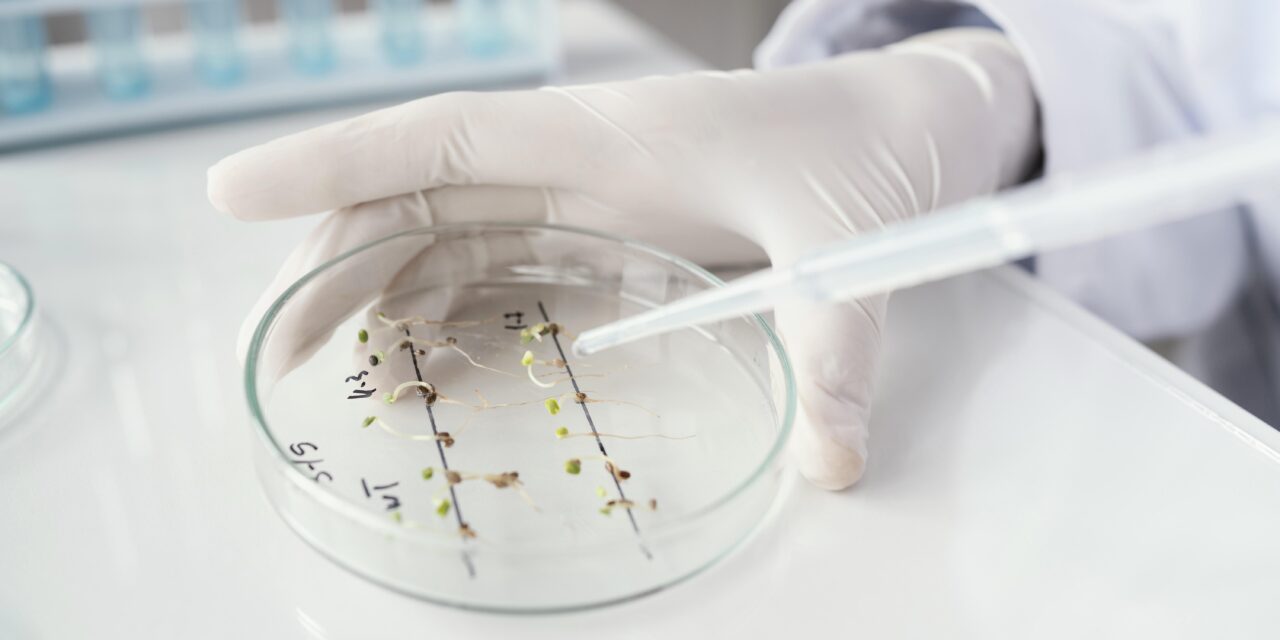 Biotecnología, la novedosa carrera de la UBA que puede estudiarse en 4 facultades