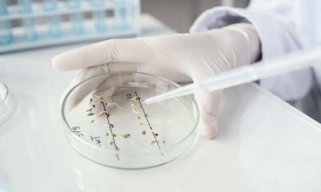 Biotecnología, la novedosa carrera de la UBA que puede estudiarse en 4 facultades