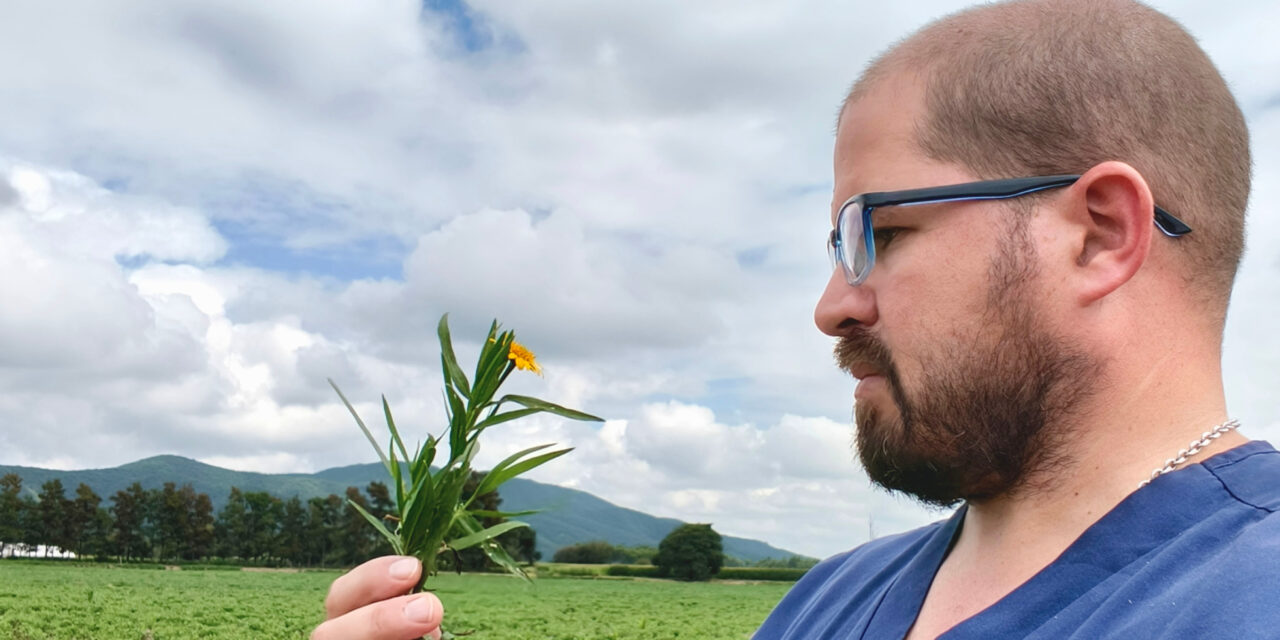 Preocupan los efectos de las plantas tóxicas en el ganado ante la expansión de la frontera agrícola