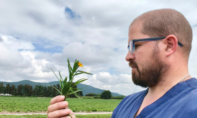 Preocupan los efectos de las plantas tóxicas en el ganado ante la expansión de la frontera agrícola