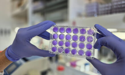 Hallan un mecanismo común de replicación de los virus del dengue, Zika y fiebre amarilla, que podría inspirar un antiviral de “amplio espectro”