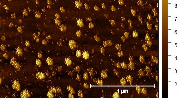 Mediante nanotecnología, un equipo científico argentino busca transformar el principal antiparasitario contra el Chagas en un antiviral de amplio espectro