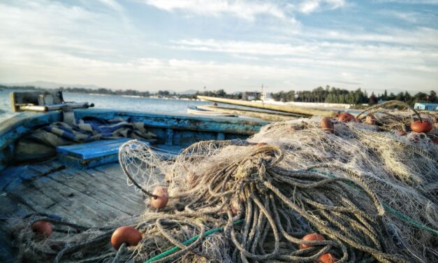 “Ondas internas”: detectan una fuerza oculta en el mar patagónico que favorece las condiciones para la pesca artesanal