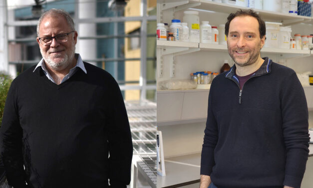 Dos científicos argentinos recibirán importante subsidio internacional para proyectos colaborativos de investigación en biomedicina